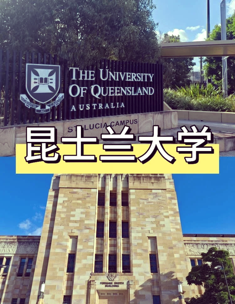 荷兰成功突围，实力不容小觑