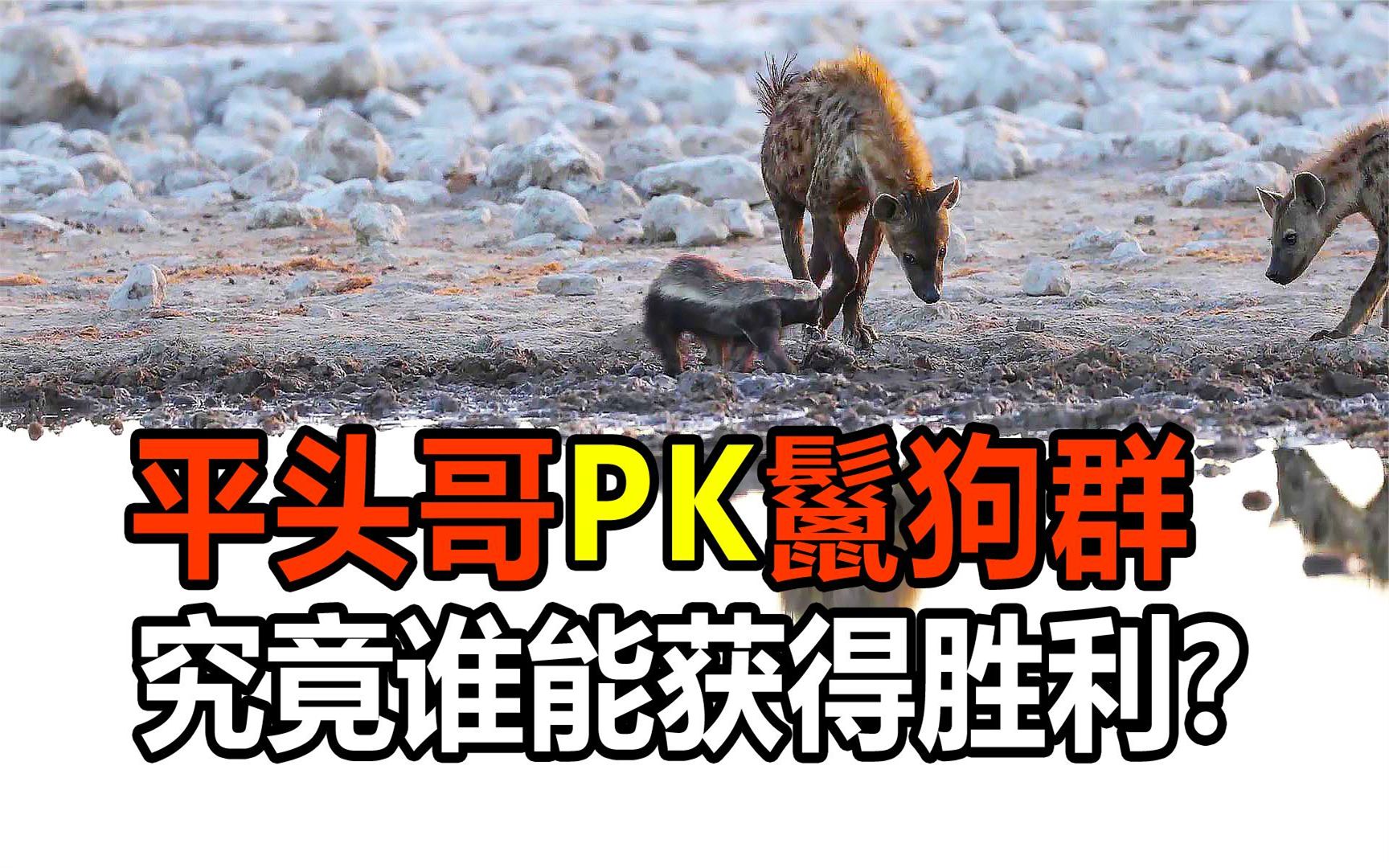 火爆对决，高潮迭起谁将笑到最后？
